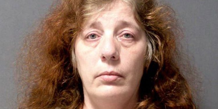 Sewa Pembunuh Bayaran di Situs Fiktif untuk Habisi Mantan Suami, Wanita Ini Ditangkap