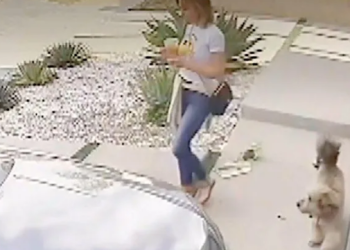 Misteri Seputar Hilangnya Ibu Muda setelah Nonton Pertandingan Sepak Bola Putranya