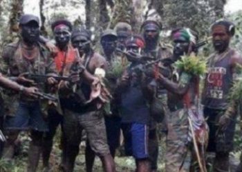 Anggota KKB Selon Songonau Tewas Saat Baku Tembak dengan TNI di Intan Jaya