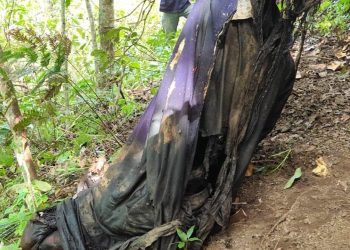 Pekerja Proyek di Kupang Kaget Temukan Mayat Ibu-Bayi Terbungkus Plastik Saat Gali Tanah