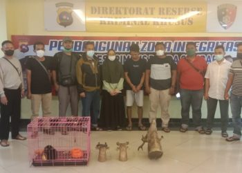 Warga Padang Ditangkap Polisi Saat Hendak Jual Anak Owa Ungko dan kepala Rusa