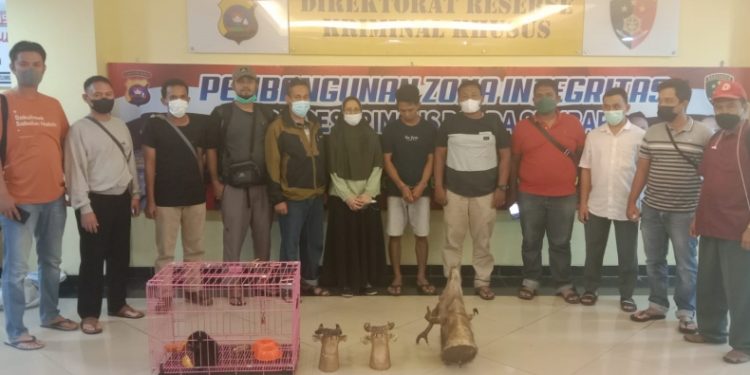 Warga Padang Ditangkap Polisi Saat Hendak Jual Anak Owa Ungko dan kepala Rusa