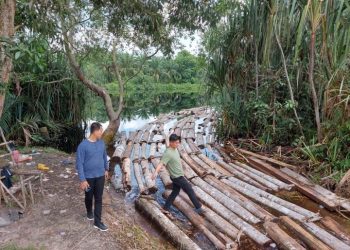 Polda Riau Ringkus Ratusan Kayu Ilegal Milik Komplotan ‘Anak Jendral’ di Siak Kecil Bengkalis