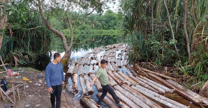 Polda Riau Ringkus Ratusan Kayu Ilegal Milik Komplotan ‘Anak Jendral’ di Siak Kecil Bengkalis