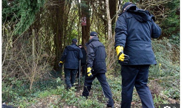 Istri Tentara Inggris Nekat Buang Bayinya yang Baru Lahir di Hutan Belantara, Tewas
