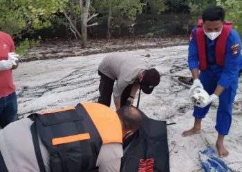 Nelayan Temukan Tulang Belulang Manusia di Pulau Kosong Karimun, Polisi Masih Menyelidiki