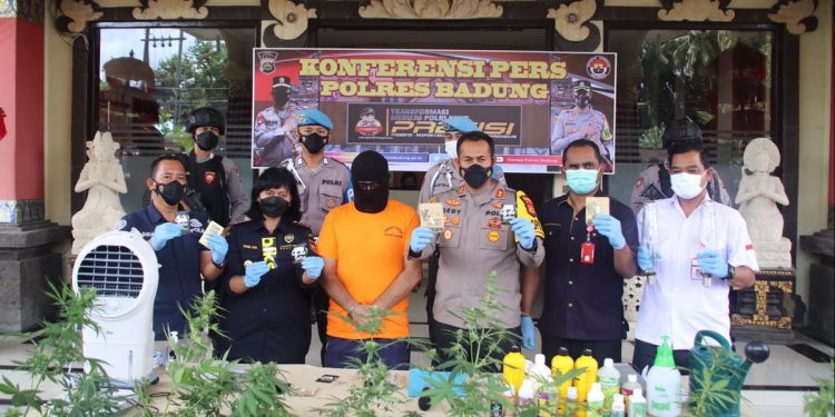 Bule Spanyol di Bali yang Tanam 19 Pohon Ganja di Kamar Mandi Ditangkap Polisi