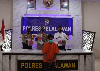 Tikam Korban di Dada, Polres Pelalawan Tangkap Pelaku Pembunuhan