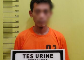 Bejat, Pria di Rohul Perkosa Istri Teman Berulang Kali