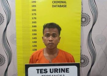 Curi Buah Kelapa Sawit PT Jatim Jaya Perkasa, Pengangguran Ditangkap Polres Rohil