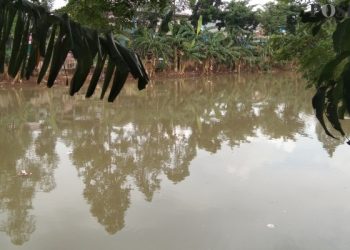 Warga Geger, Jasad Pria Berkaos Tangerang Football Terapung di Kali Cengkareng