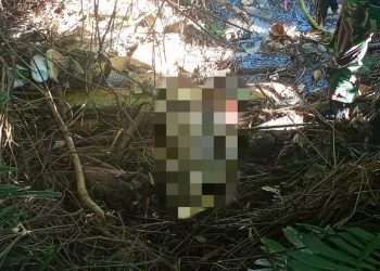Hanyut di Saluran Sungai, Jenazah Balita di Lombok Tengah Ditemukan Penanam Padi