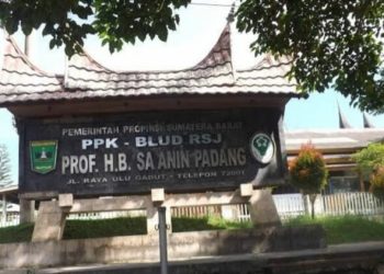 Anak Bunuh Ibu Pakai Cangkul di Solok, Diobsevasi di RS Jiwa Padang