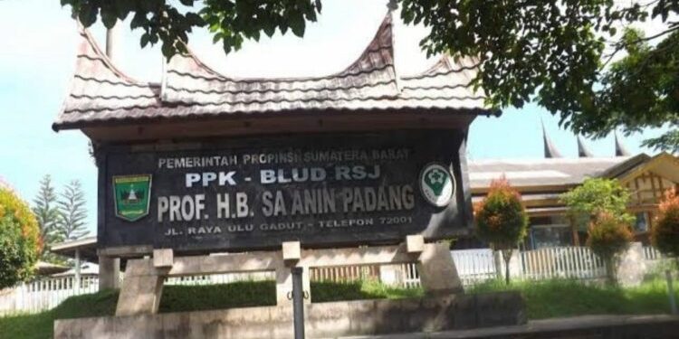 Anak Bunuh Ibu Pakai Cangkul di Solok, Diobsevasi di RS Jiwa Padang