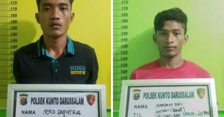 Miliki Ganja, Maling Buah Sawit di Kunto Darussalam Diringkus Polisi