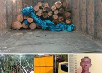 Polsek Kampar Kiri Tangkap Pelaku Ilegal Logging di Kawasan Hutan Konservasi Area PT PSPI