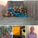 Polsek Kampar Kiri Tangkap Pelaku Ilegal Logging di Kawasan Hutan Konservasi Area PT PSPI