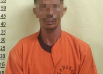 Diduga Hasil Pembalakan Liar, Polsek Siak Hulu Tangkap Truk Bermuatan Kayu