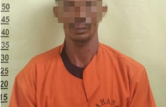 Diduga Hasil Pembalakan Liar, Polsek Siak Hulu Tangkap Truk Bermuatan Kayu