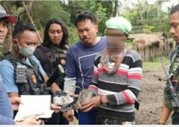 Pasangan Suami-istri yang Juga Perangkat Desa di Wamena Ditangkap Polisi karena Jadi Pengedar Ganja