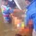 Hanyut Puluhan Kilometer, Jasad Tengku Faza Al Farizi Yang Tenggelam di Sungai Kampar Akhirnya Ditemukan