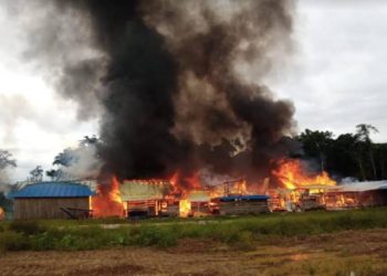 Kembali Berulah, Teroris KKB Serang dan Bakar Perusahaan Kayu di Maybrat Papua Barat