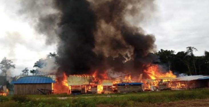 Kembali Berulah, Teroris KKB Serang dan Bakar Perusahaan Kayu di Maybrat Papua Barat