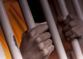 Dua PNS Garut dan Tiga Lainya Jadi Tersangka Pengadaan Sapi Bunting