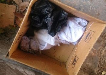 Melahirkan Sendiri, Remaja Ini Tega Buang Bayinya ke Gorong-gorong Saluran