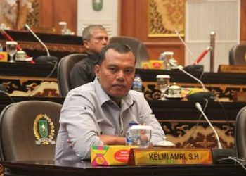 Tegas, Kelmi Amri Minta Pelaku Pemerkosa Ibu Muda di Rohul Diproses Secara Hukum Berkeadilan
