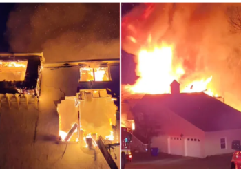 Niat Bunuh Ular, Pria Ini Tak Sengaja Malah Bakar Rumahnya