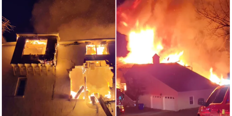 Niat Bunuh Ular, Pria Ini Tak Sengaja Malah Bakar Rumahnya