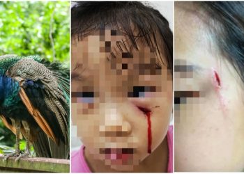 Seorang Merak Berbahaya Menganiaya Balita di Singapura