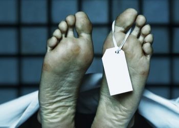 Pelajar Tewas Tertabrak Mobil di Bintan, Pengemudi Tidak Melihat Lawan saat Melaju