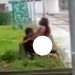 Parah, Siang Bolong Sejoli Ini Berhubungan Intim di Tempat Umum, Direkam Orang Pun Tak Peduli
