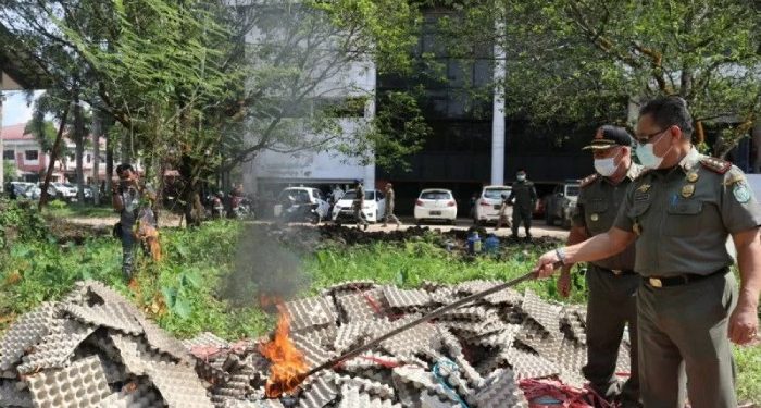 Telur Ayam Arab Ilegal Sebanyak 1,2 Ton Dimusnahkan