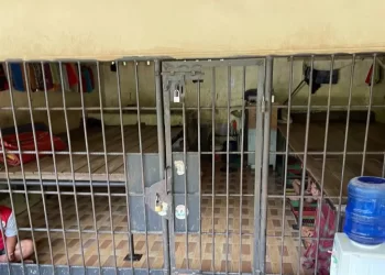 Penjelasan Kapolda Sumut Soal Kerangkeng Berisi Manusia di Rumah Bupati Langkat