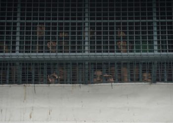 Perkelahian Antar Napi Pecah, 6 Tewas dan 33 Lainnya Terluka di Penjara Filipina