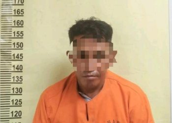 Polsek Siak Hulu Tangkap Bandar Narkoba, Dengan Barang Bukti  77 Gram Sabu