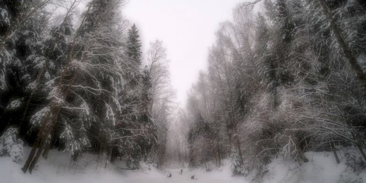 Lagi Lihat ke Luar Jendela, Wanita Colorado Saksikan 3 Anak Jatuh ke Kolam Es, Reaksinya Bikin Salut