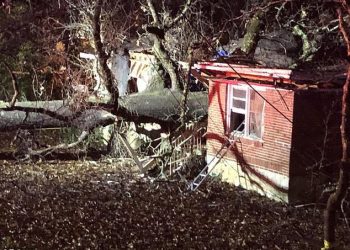 Pohon Tumbang, Rumah Terbelah Dua, Seorang Bocah Tewas Terhimpit