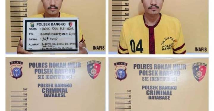 Curi Uang hingga Perhiasan dan Emas, Agus Ditangkap Polsek Bangko Rohil
