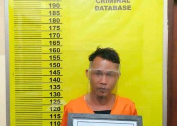 Modus Bawa Jalan Tahun Baru, Buruh di Rohil Cabuli Anak Dibawah Umur