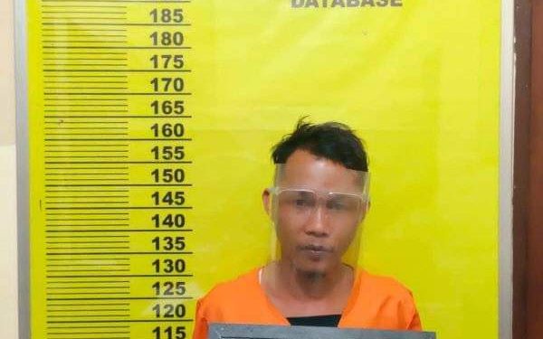 Modus Bawa Jalan Tahun Baru, Buruh di Rohil Cabuli Anak Dibawah Umur