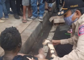 Seorang Pria Nekat Bakar Diri di Pinggir Jalan Raya Bogor,  Pengendara yang Lewat Panik Lakukan Hal Ini