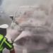 Mobil Ford Fiesta Terbakar di Tol Jagorawi, Diduga Korsleting Listrik