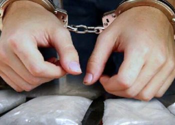 Nekat Edarkan 9 Kg Sabu dan 2.800 Pil Ekstasi, Ibu Rumah Tangga Terancam Penjara Seumur Hidup