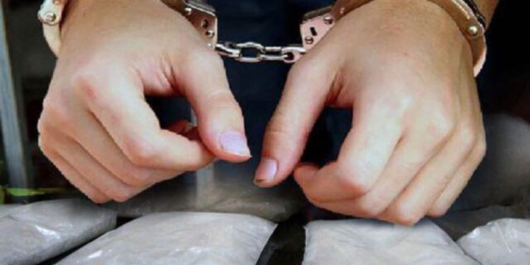 Nekat Edarkan 9 Kg Sabu dan 2.800 Pil Ekstasi, Ibu Rumah Tangga Terancam Penjara Seumur Hidup