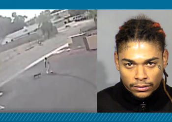 Gantung Anjing di Pagar Hingga Mati, Pria Ini Diadili