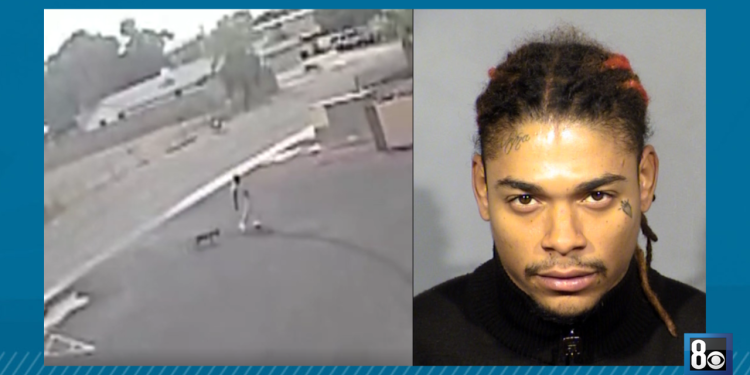 Gantung Anjing di Pagar Hingga Mati, Pria Ini Diadili